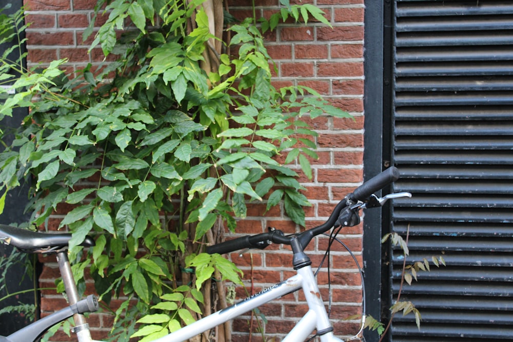 white bicycle beside green plant