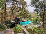 A swimming pool surrounded by lush greenery and trees, featuring a thatched-roof structure by the poolside. The area is peaceful and serene, suggesting a tropical or resort-like setting.