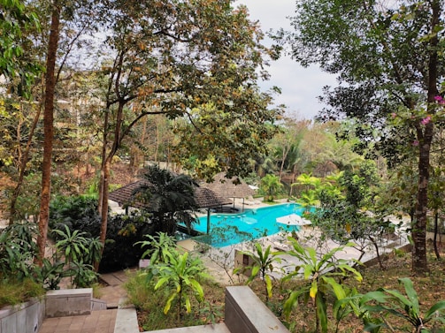 A swimming pool surrounded by lush greenery and trees, featuring a thatched-roof structure by the poolside. The area is peaceful and serene, suggesting a tropical or resort-like setting.