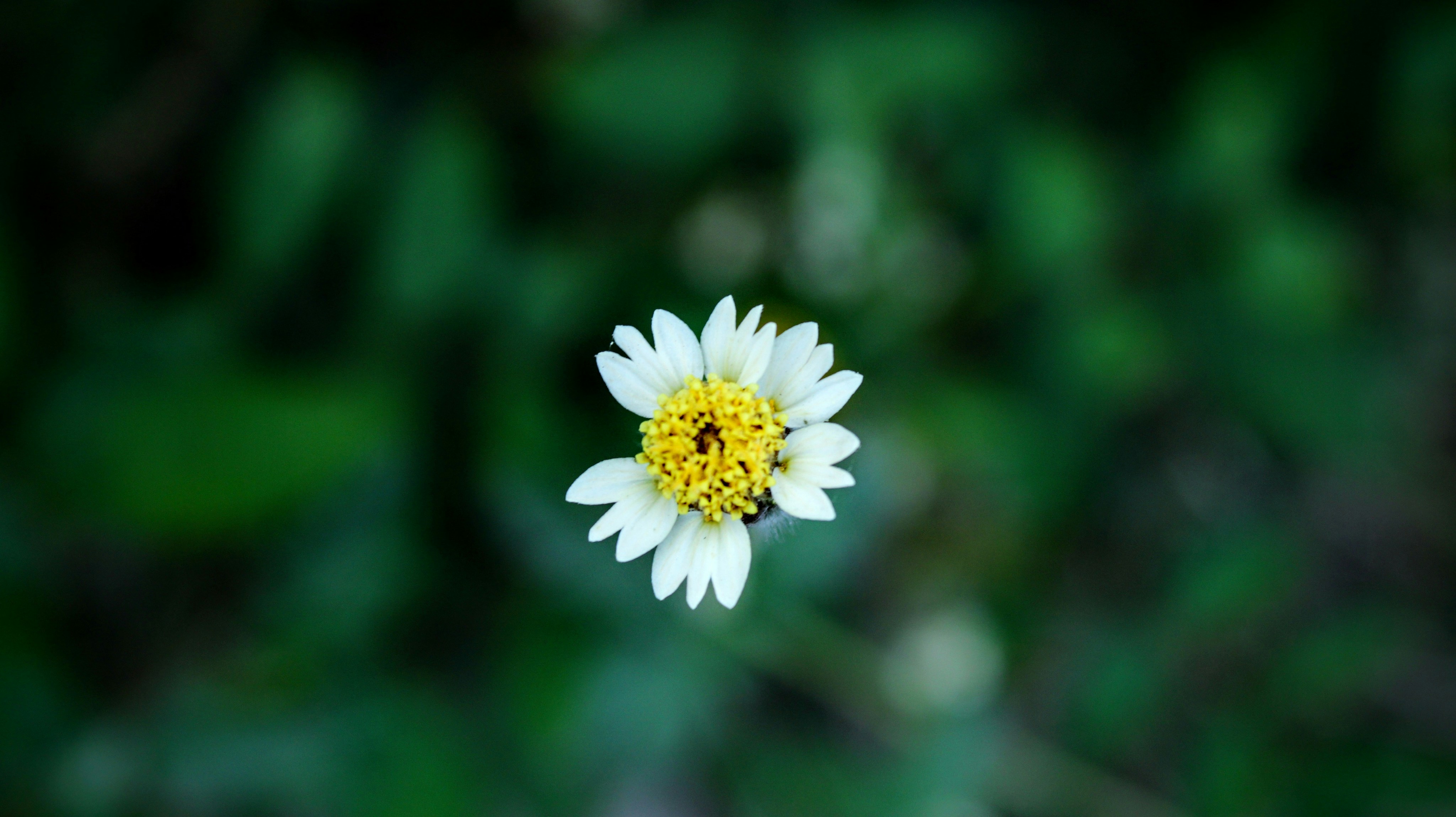 Photo by indianhobbyphotographer