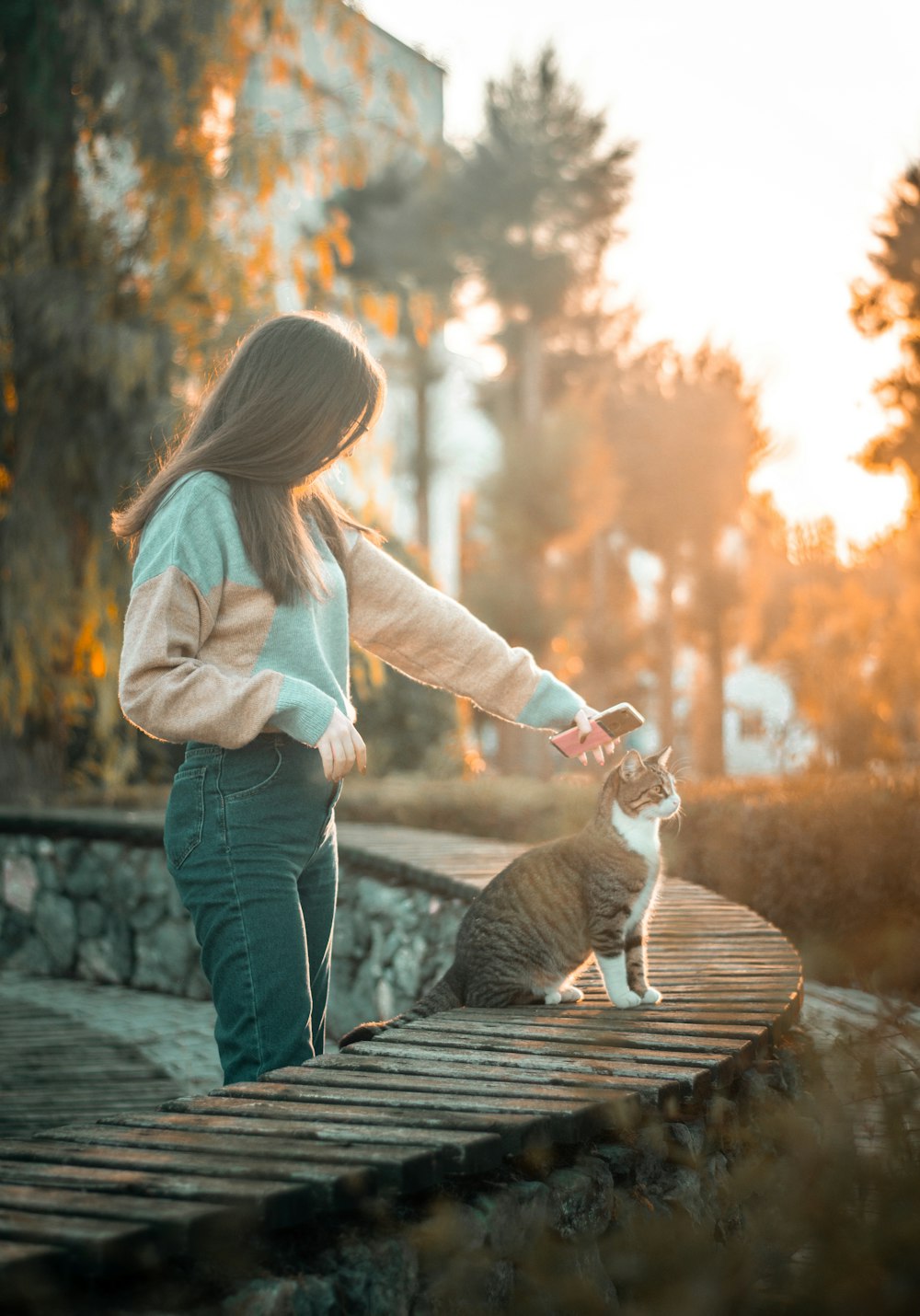 woman in blue denim jeans holding white and brown cat