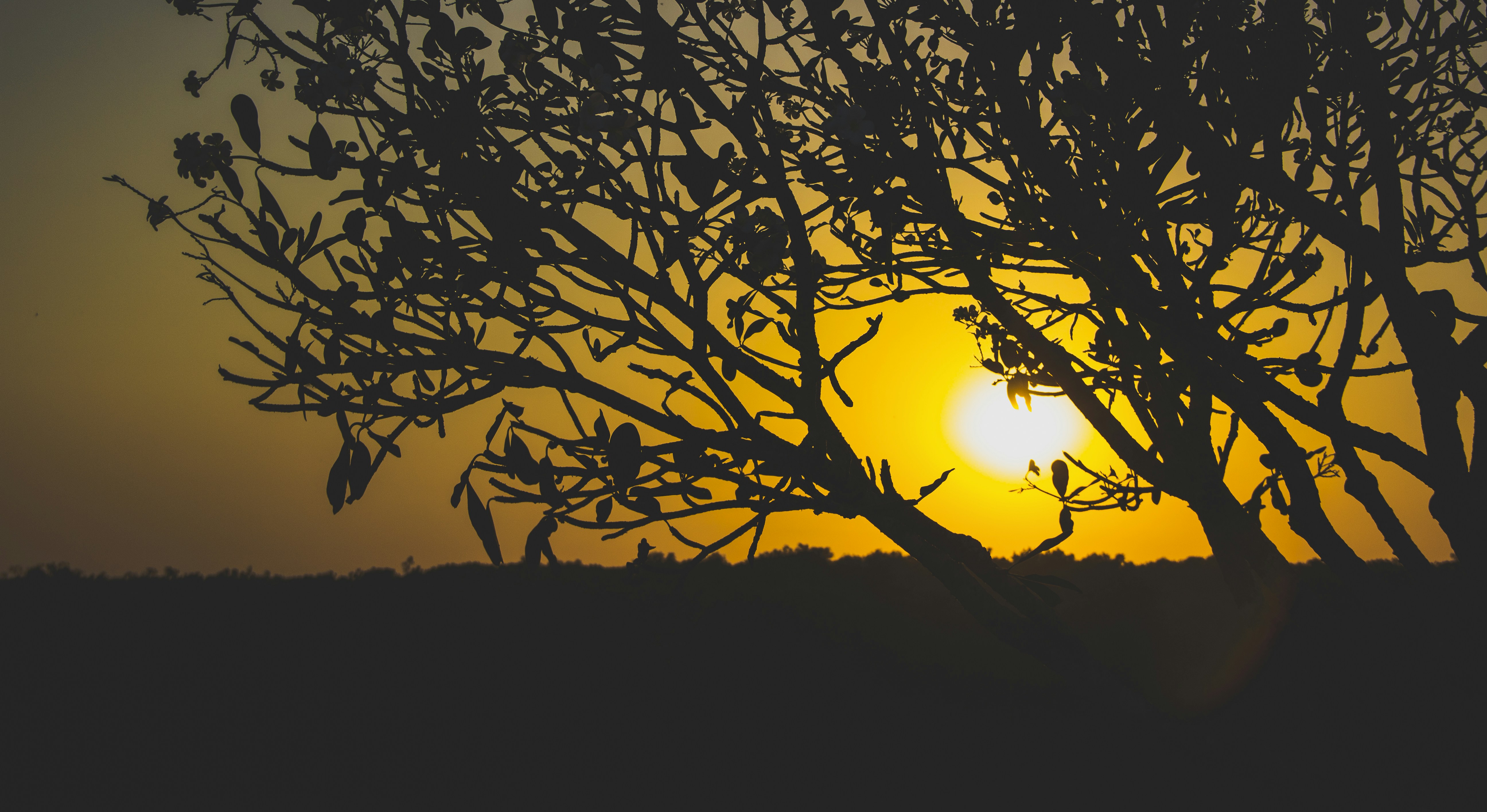 Photo by dinhduy3110