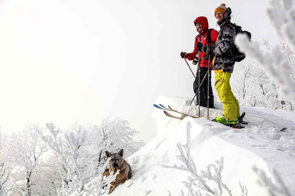 man in red jacket and black pants riding ski blades with black and white siberian