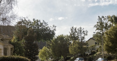Neighborhood street showing residential houses with trees.