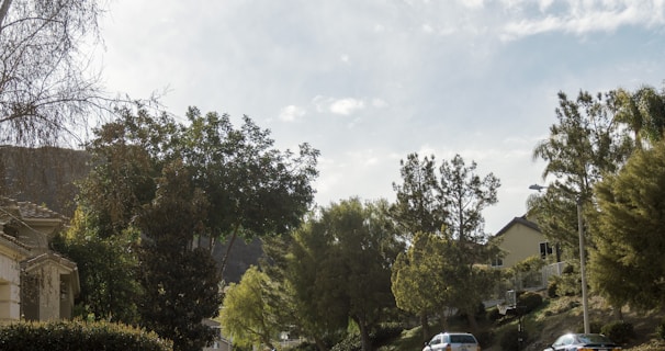 An inviting neighborhood street lined with charming houses and lush greenery.