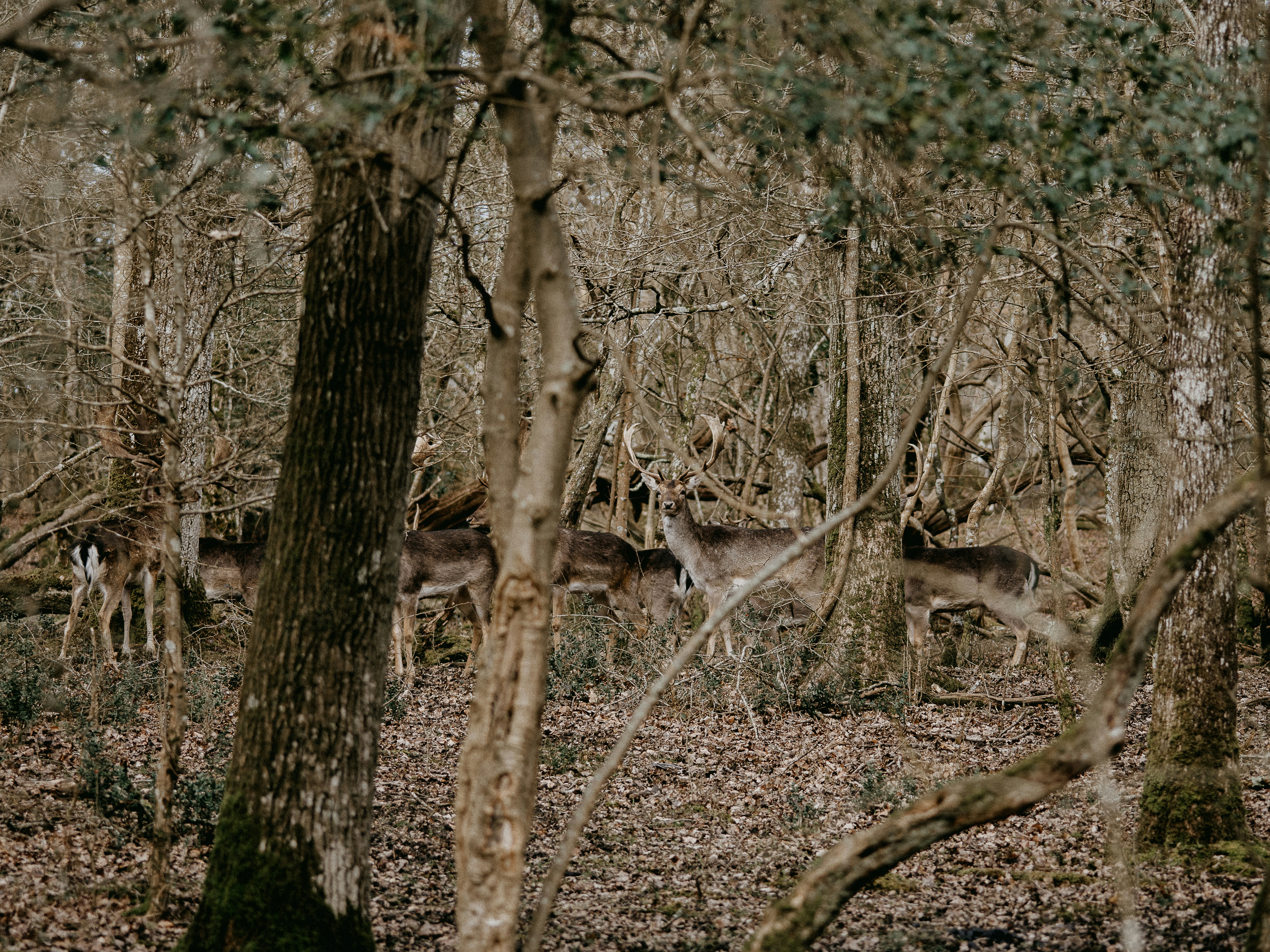 Photo by anniespratt