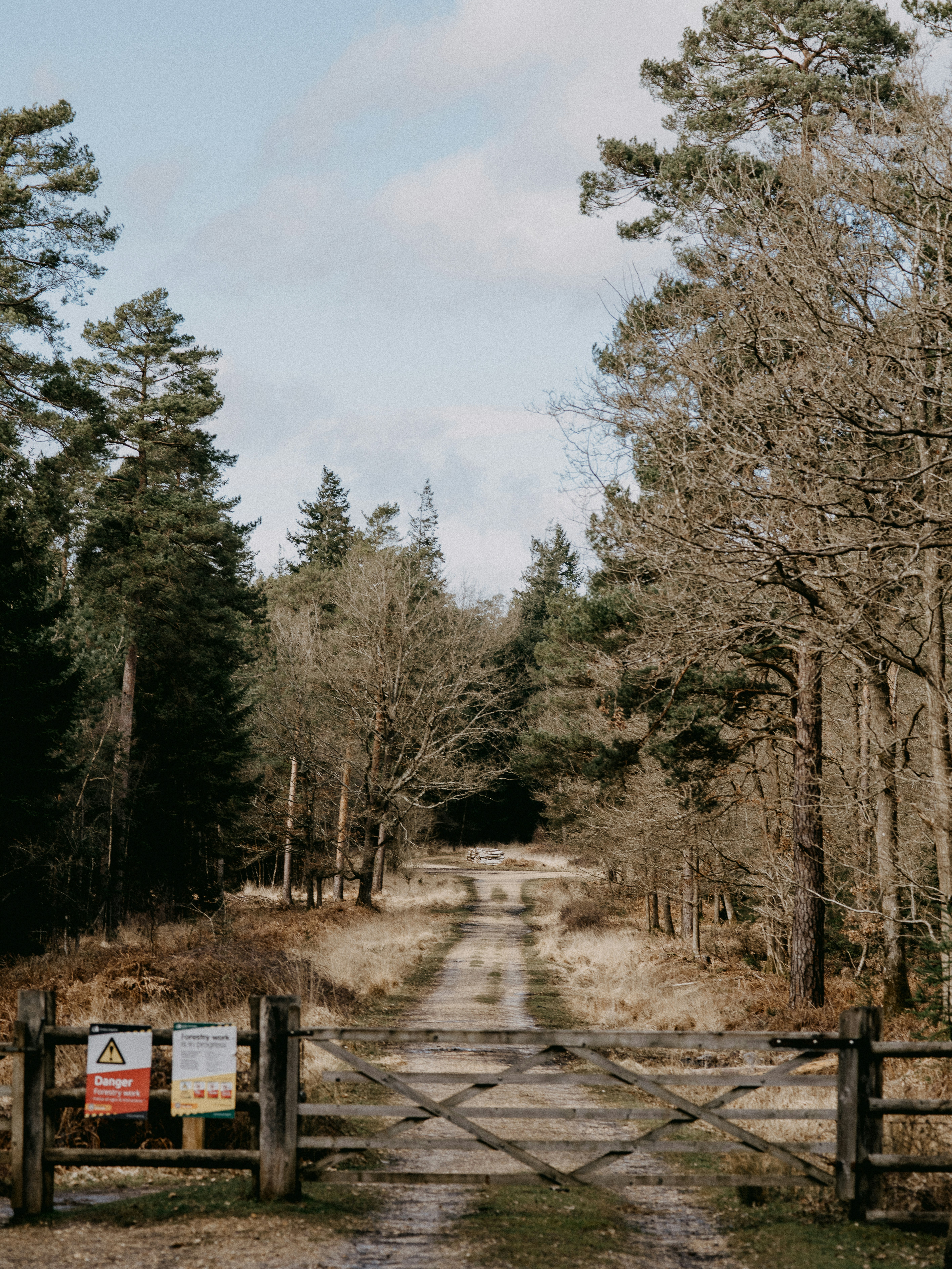 Photo by anniespratt