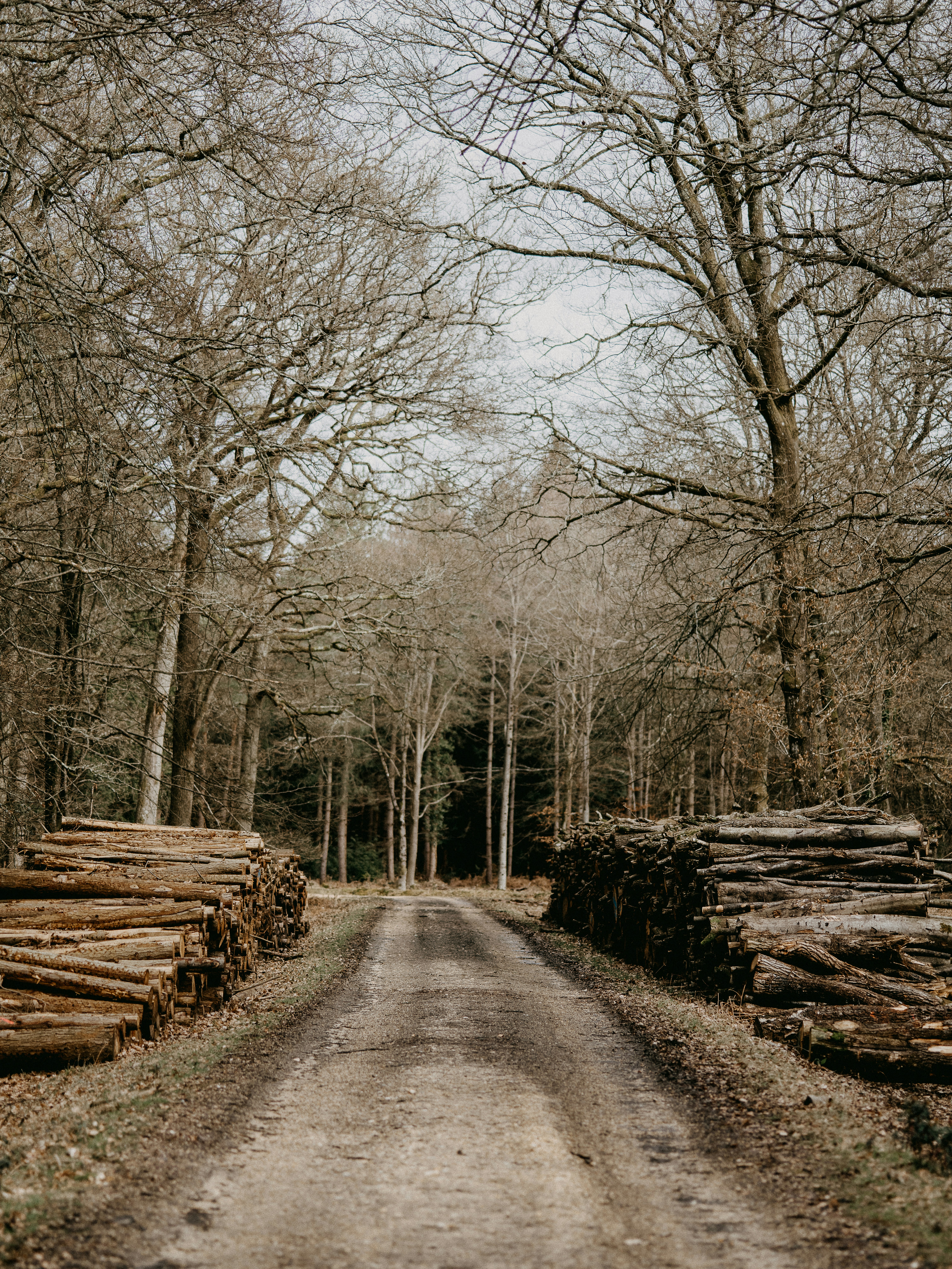 Photo by anniespratt