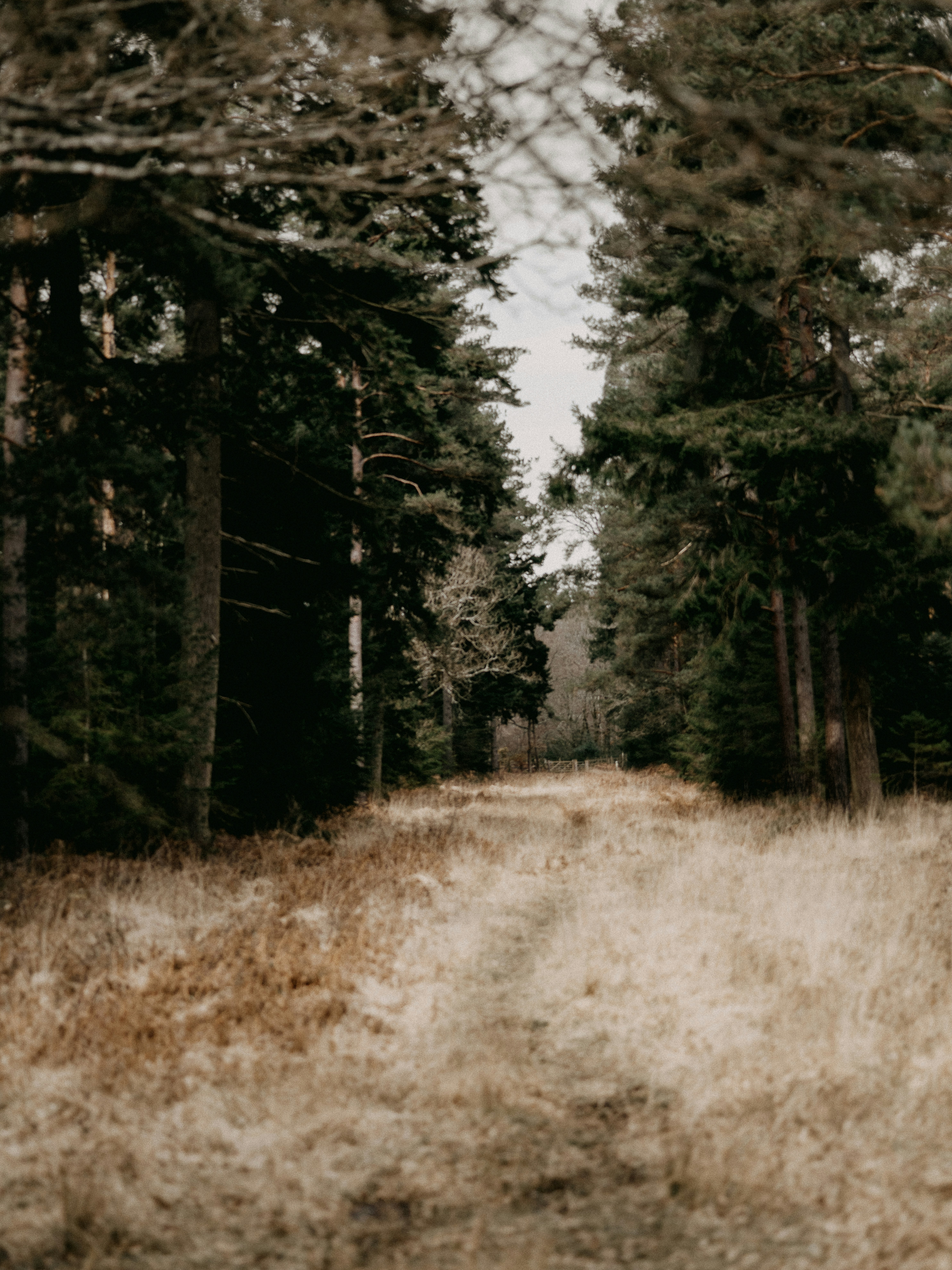 Photo by anniespratt