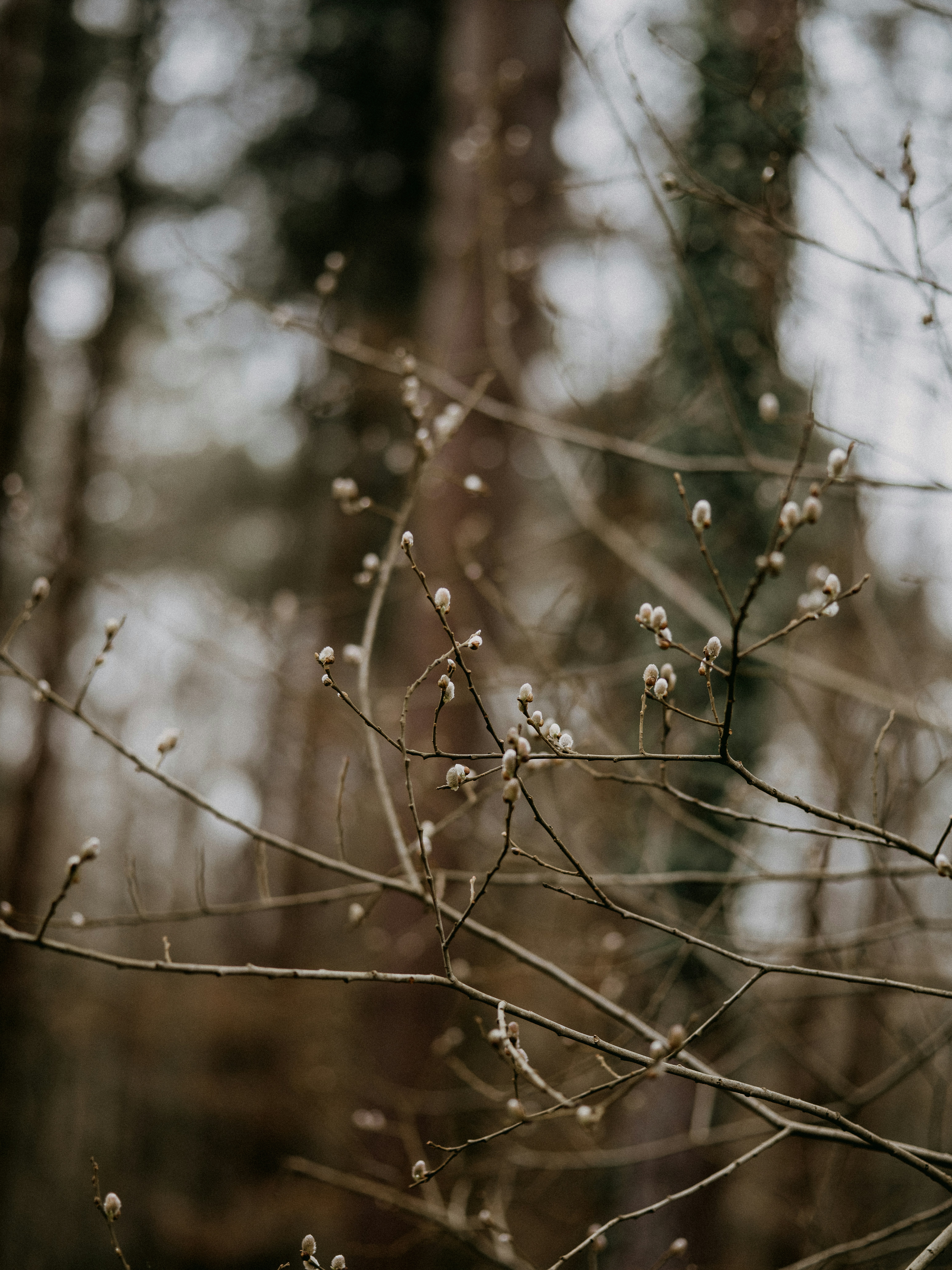 Photo by anniespratt