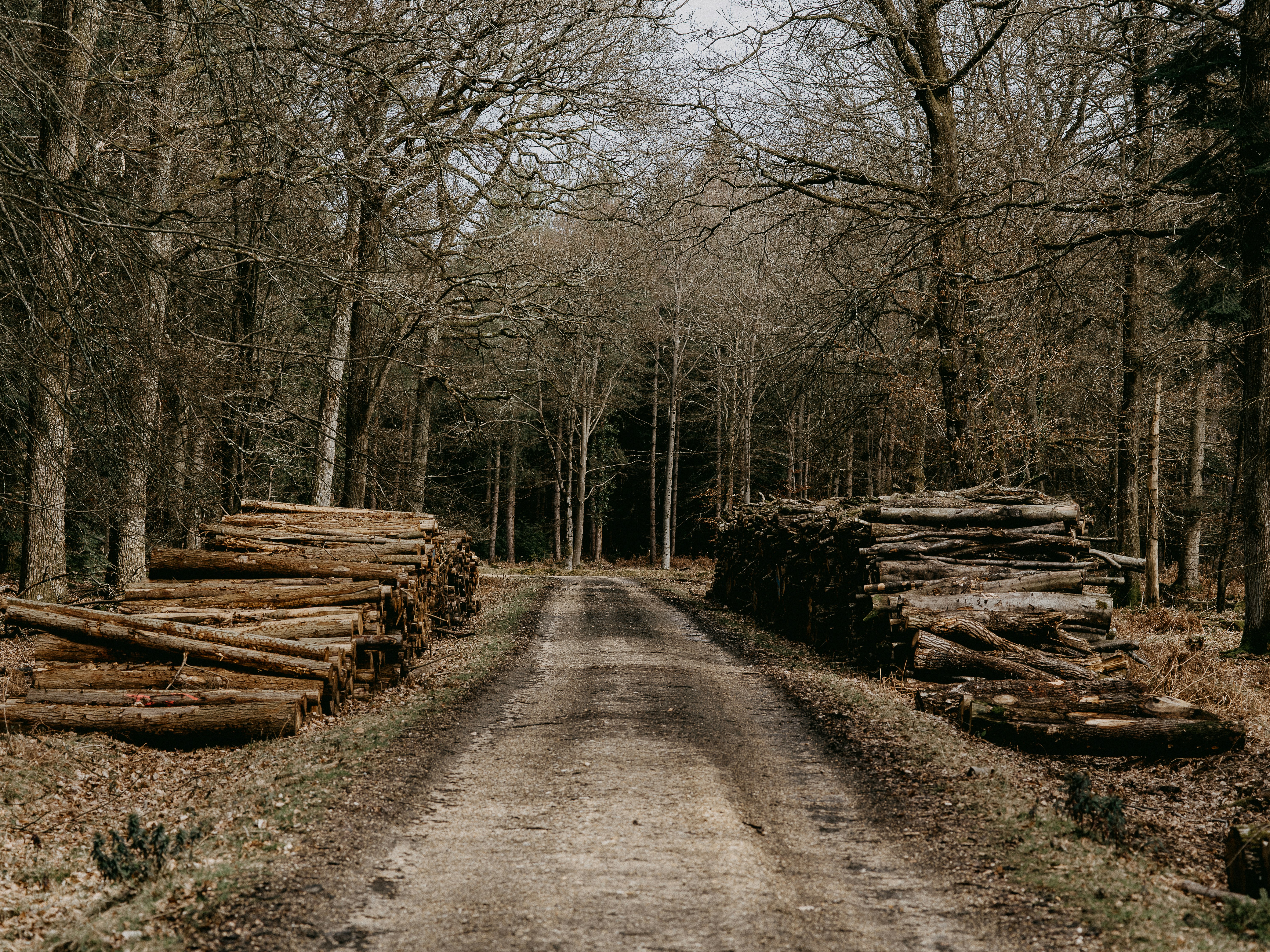 Photo by anniespratt