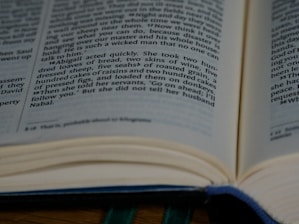 Soft natural light highlighting an open website page with clear text and minimal design.