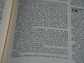 Close-up of a paragraph before and after tightening language.
