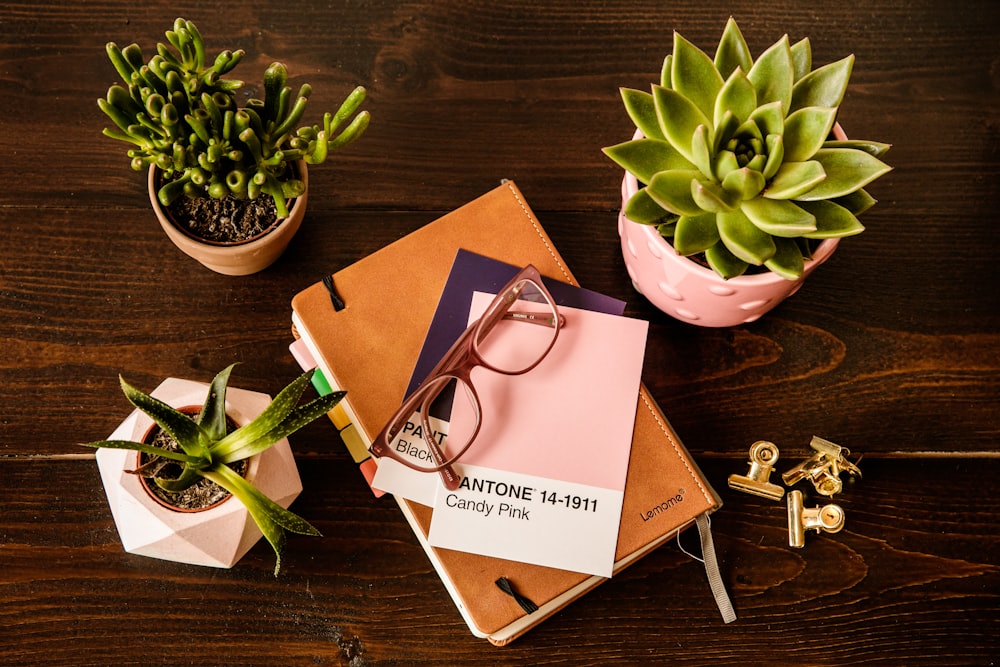 green succulent plant on pink ceramic pot beside silver keys