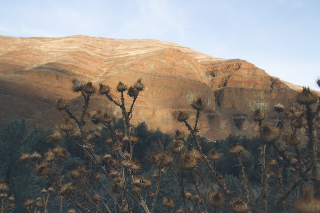 brown rock formation under blue sky during daytime