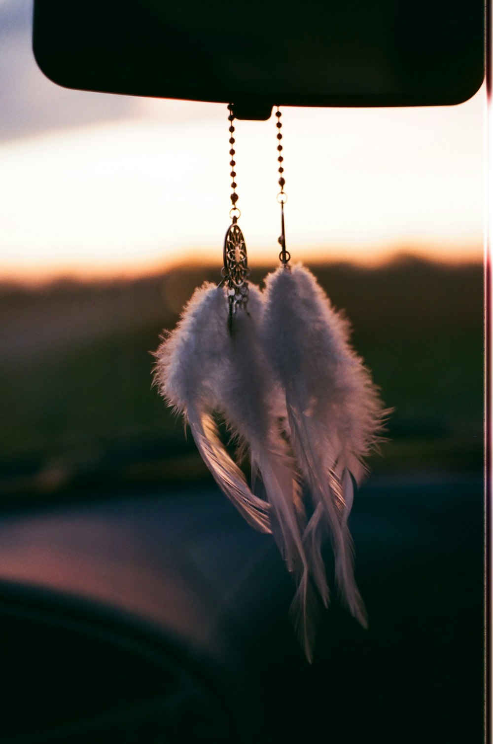 white feather on black textile