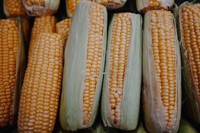 yellow corn on black plastic container sweet corn zoom background