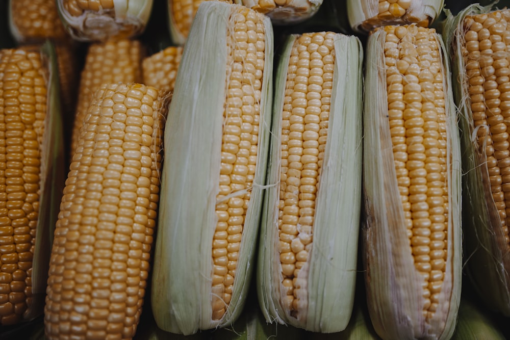 yellow corn on black plastic container