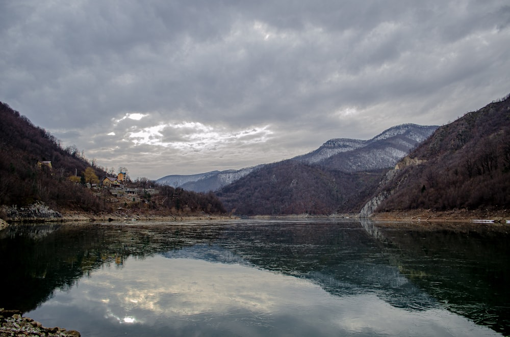 green trees near lake under cloudy sky during daytime