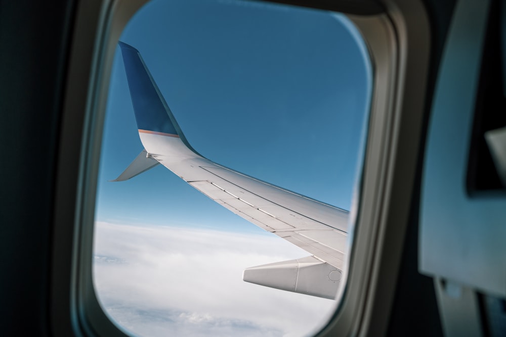 white and blue airplane wing