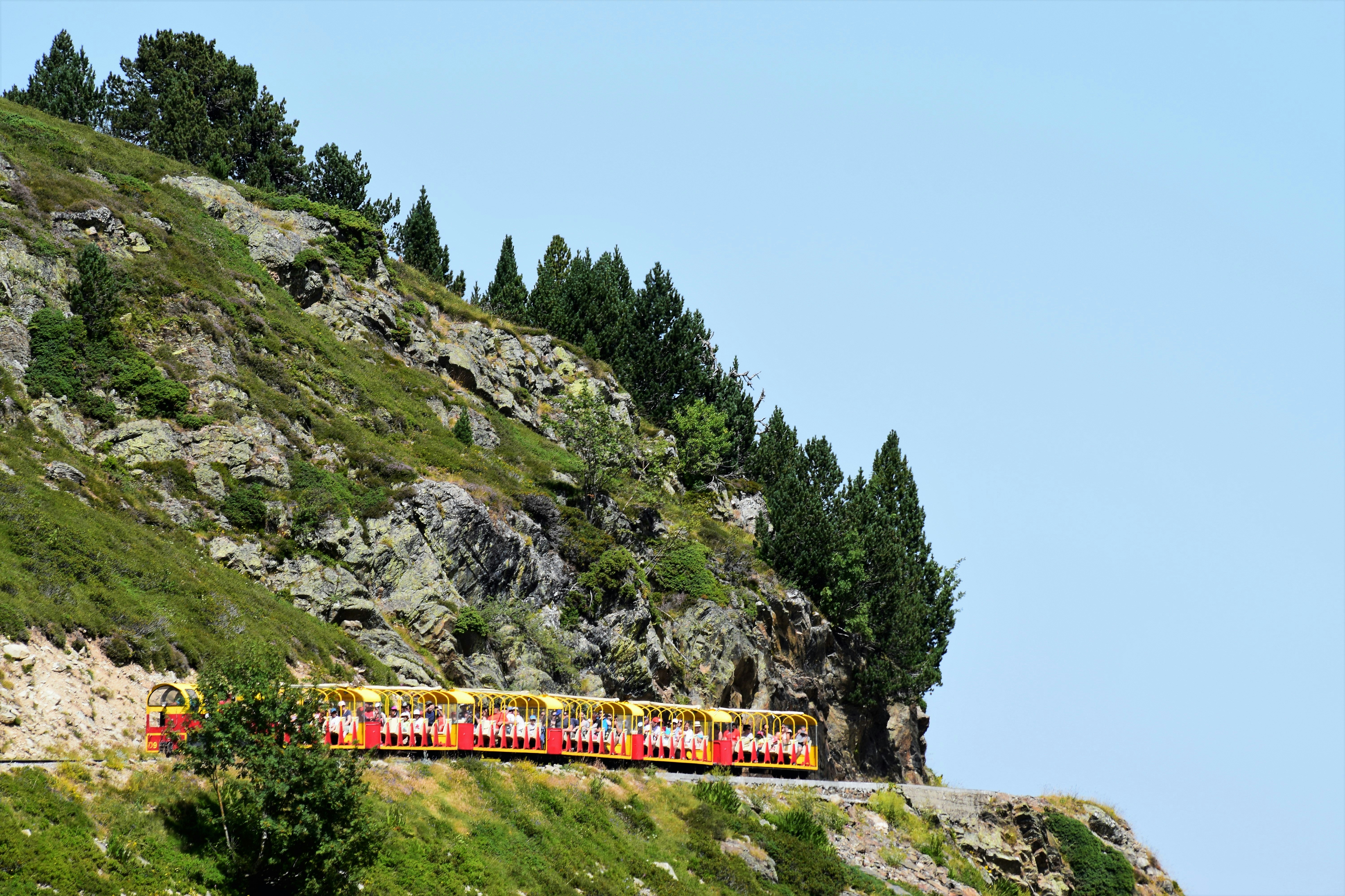 green trees on mountain under blue sky during daytime