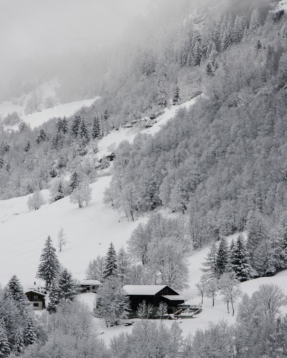 white and brown house near mountain