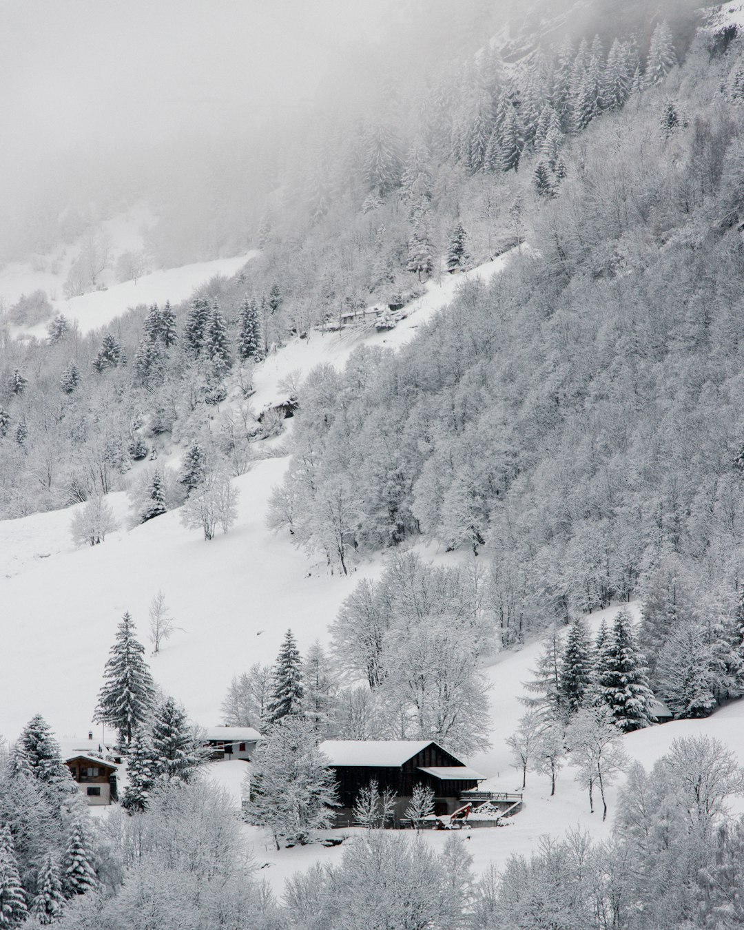 white and brown house near mountain