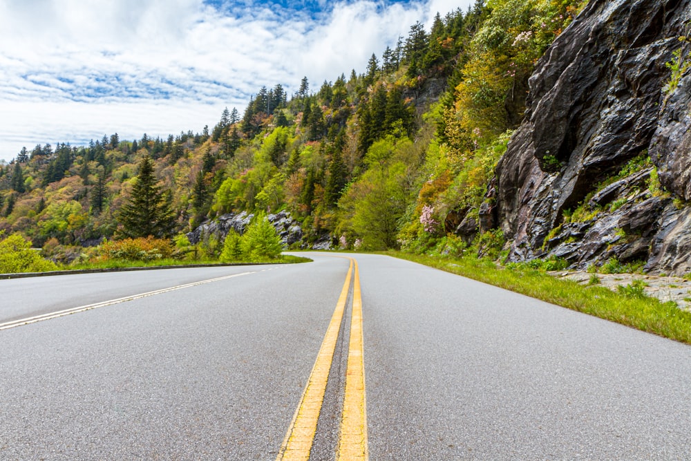 gray concrete road between green trees under blue sky during daytime