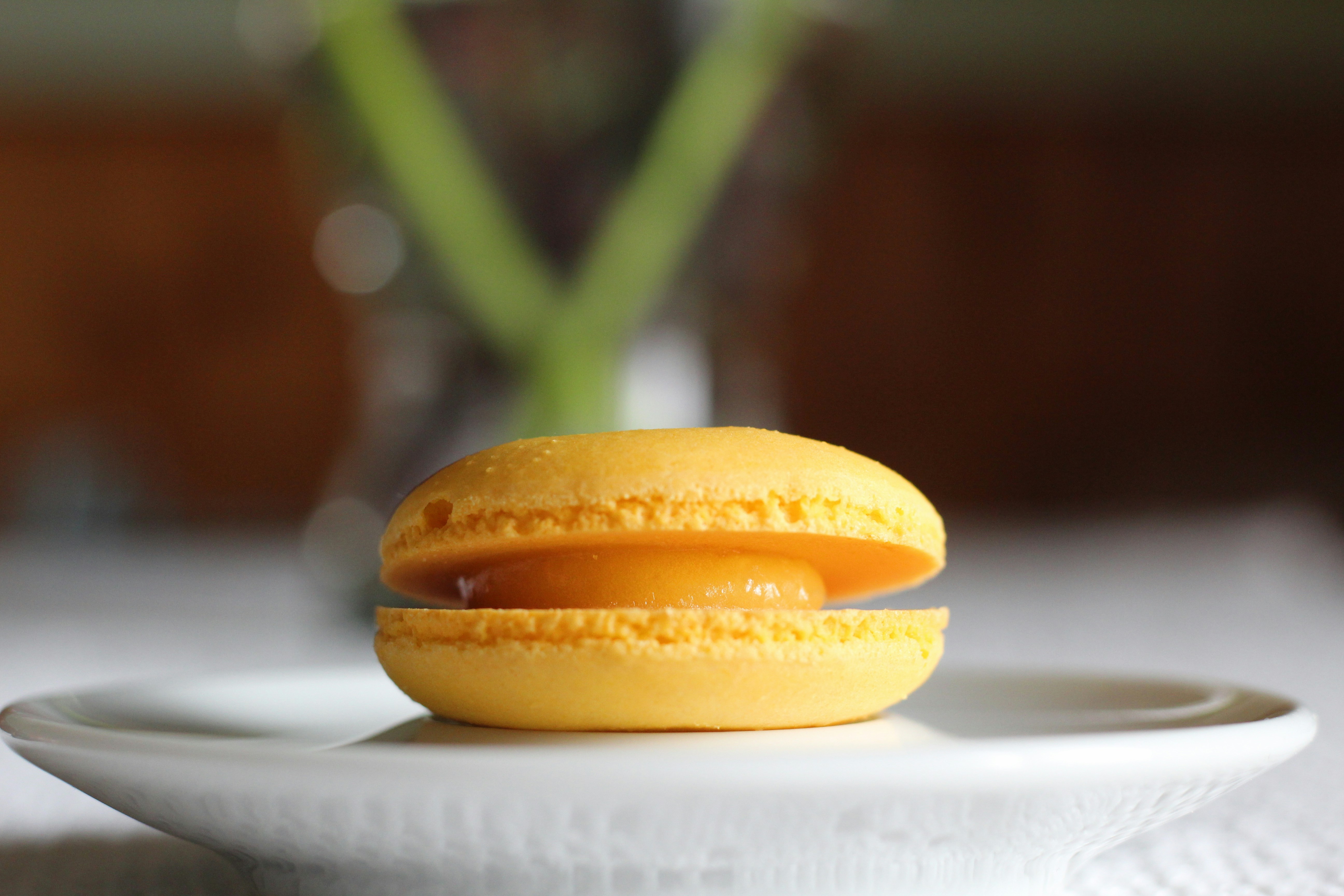 Photo by giovannafigliuolo_ladyalicesprings