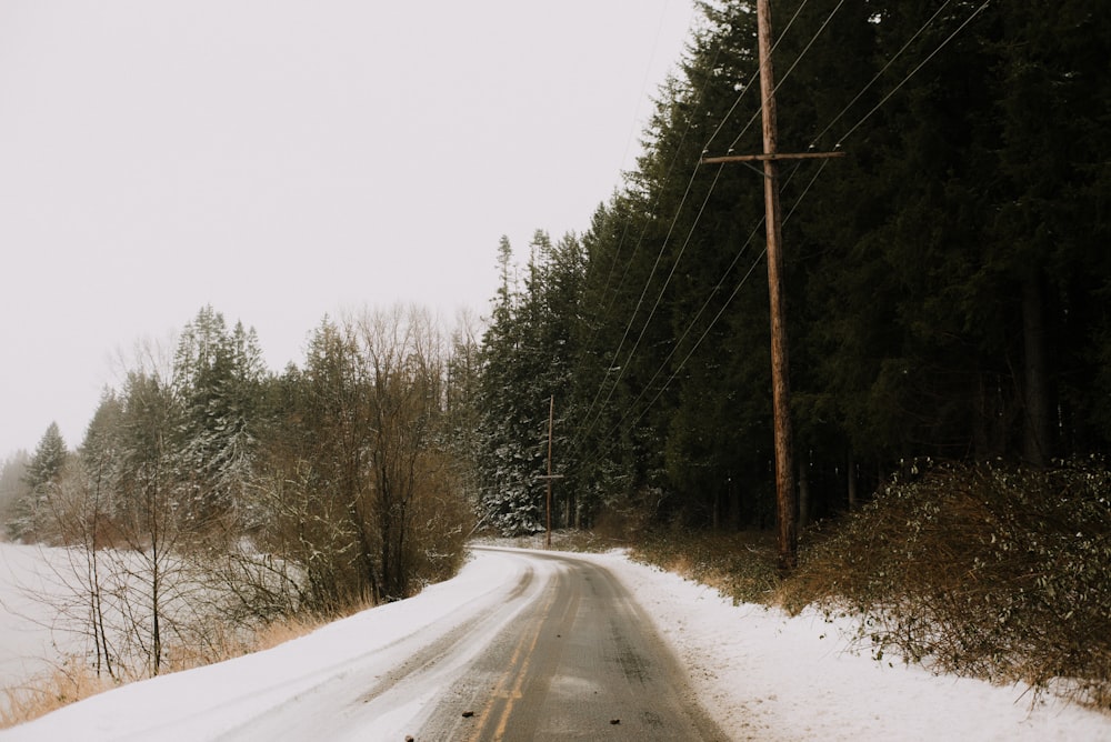 snow covered road between trees during daytime