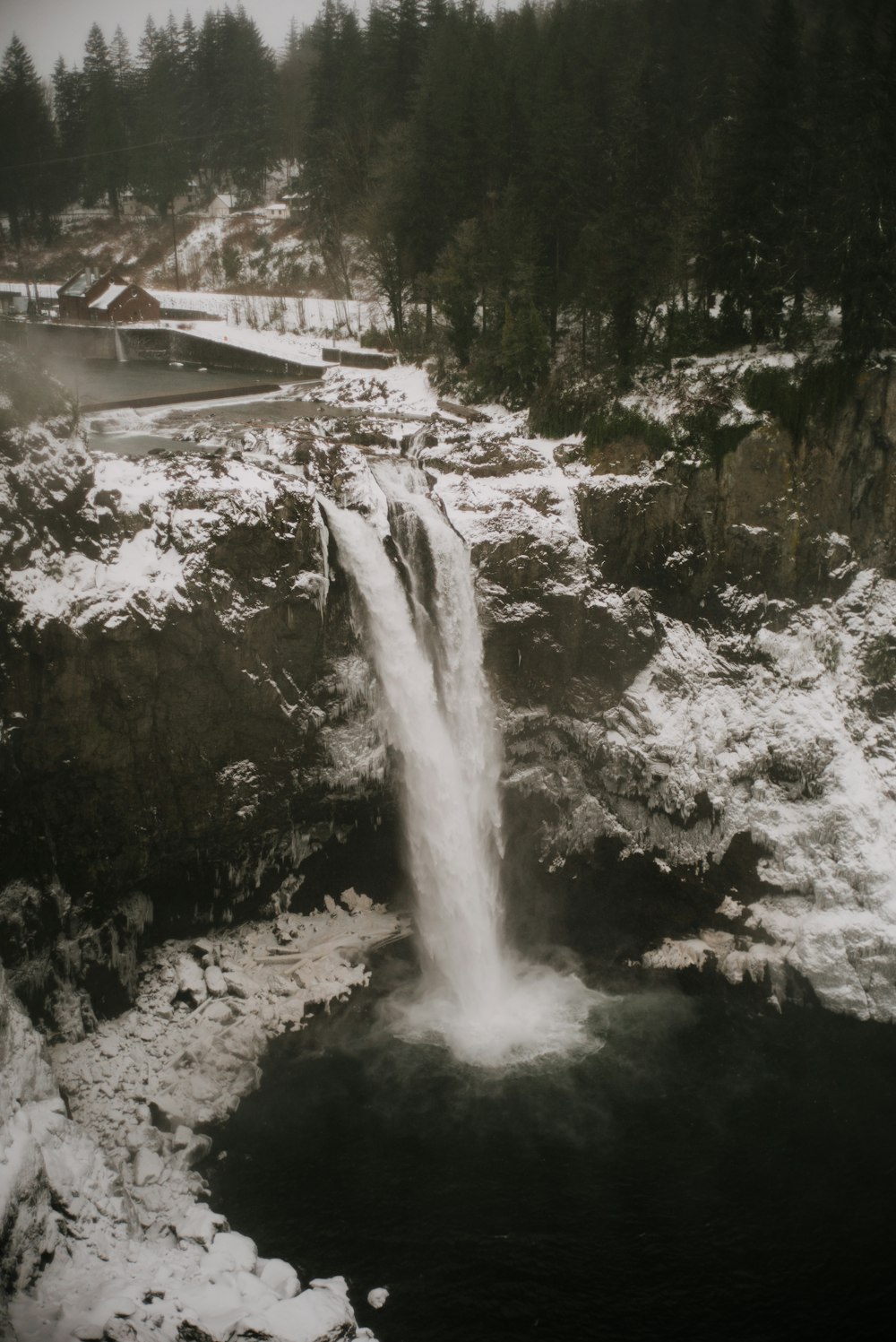 grayscale photo of waterfalls near trees