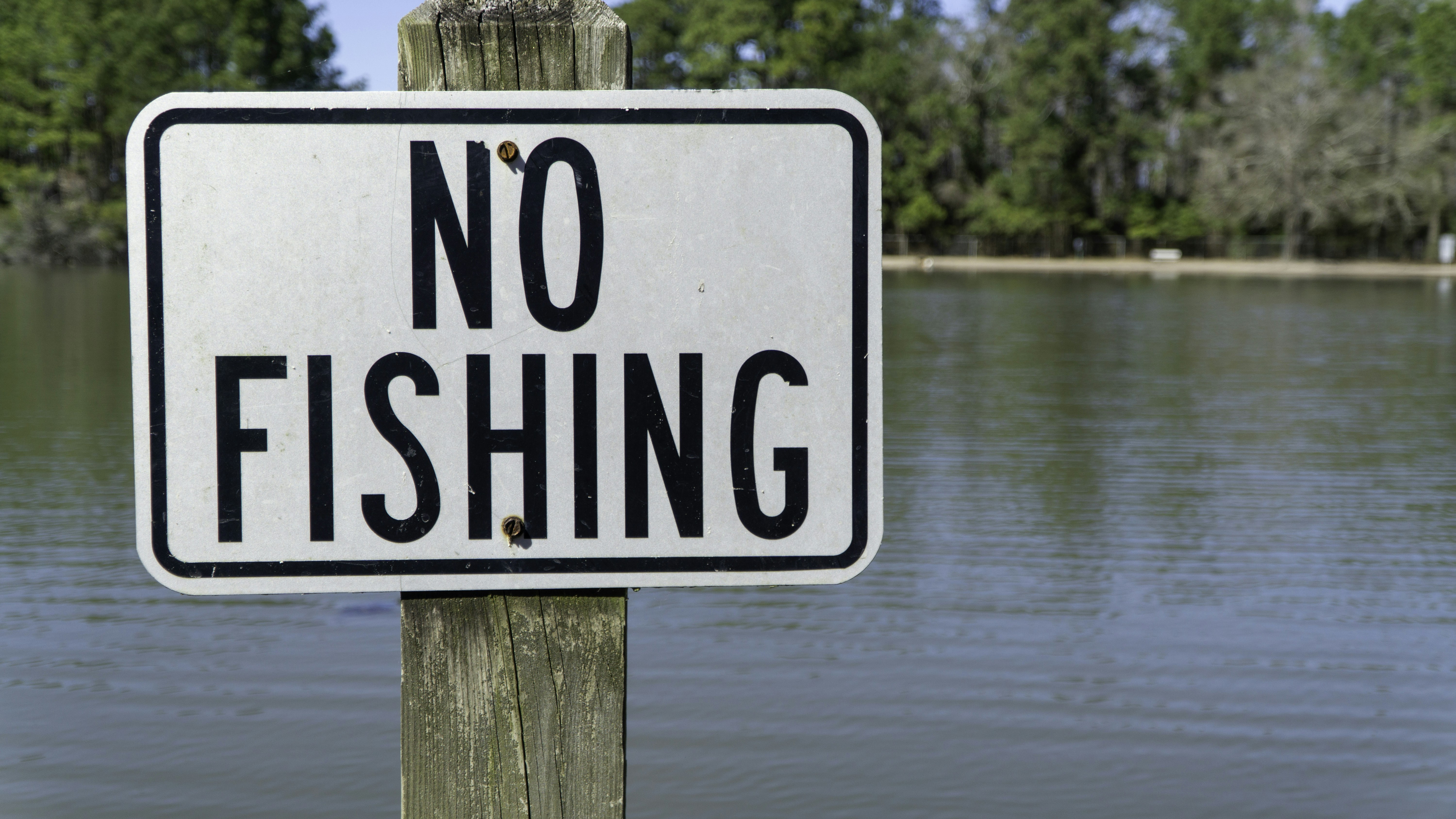 Carolina Beach Lake Park