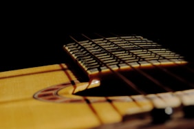 An artistic shot of guitar strings glistening in the sunlight.
