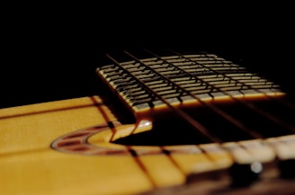 An artistic shot of guitar strings glistening in the sunlight.