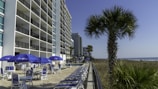 A tall, multi-story beachfront hotel is visible with several balconies facing the ocean. In front of the building, there are numerous patio tables and chairs with blue umbrellas, next to a pool. A palm tree is prominently displayed on the right side, with more palm trees in the background along the shoreline. The sky is clear and blue.