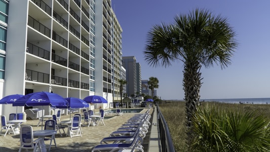 A tall, multi-story beachfront hotel is visible with several balconies facing the ocean. In front of the building, there are numerous patio tables and chairs with blue umbrellas, next to a pool. A palm tree is prominently displayed on the right side, with more palm trees in the background along the shoreline. The sky is clear and blue.