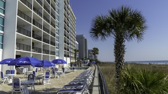 A tall, multi-story beachfront hotel is visible with several balconies facing the ocean. In front of the building, there are numerous patio tables and chairs with blue umbrellas, next to a pool. A palm tree is prominently displayed on the right side, with more palm trees in the background along the shoreline. The sky is clear and blue.