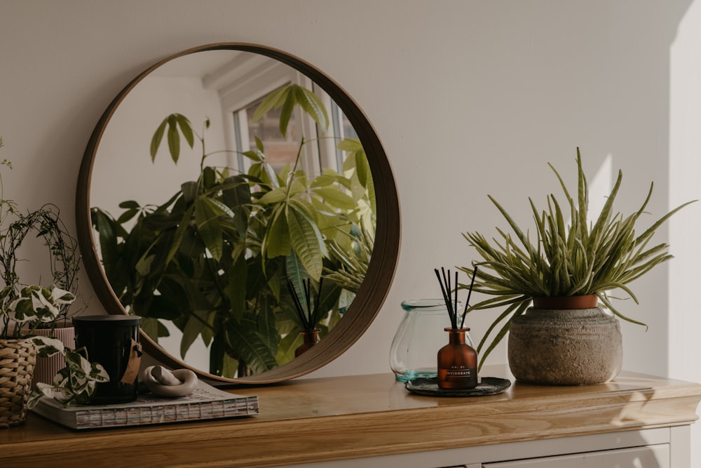 green plant on brown wooden table