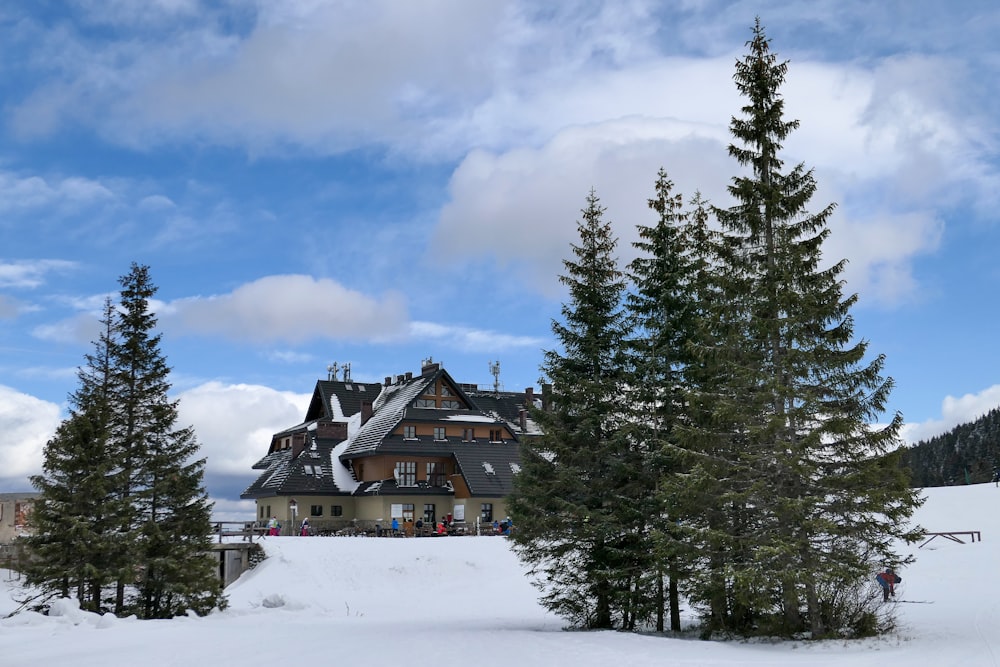 Maison brune et blanche entourée d’arbres verts sous des nuages blancs et un ciel bleu pendant la journée