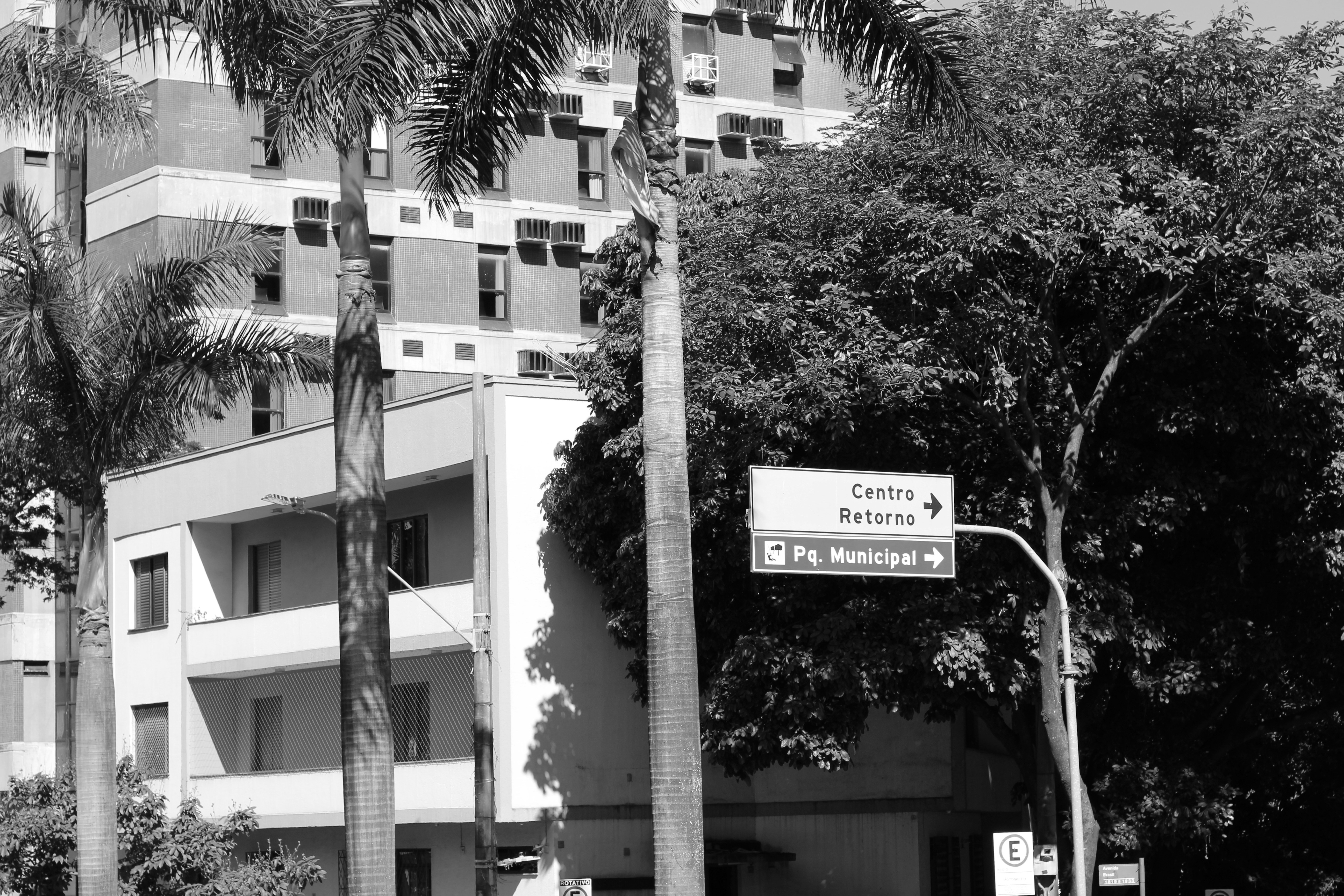 Belo Horizonte travel photo