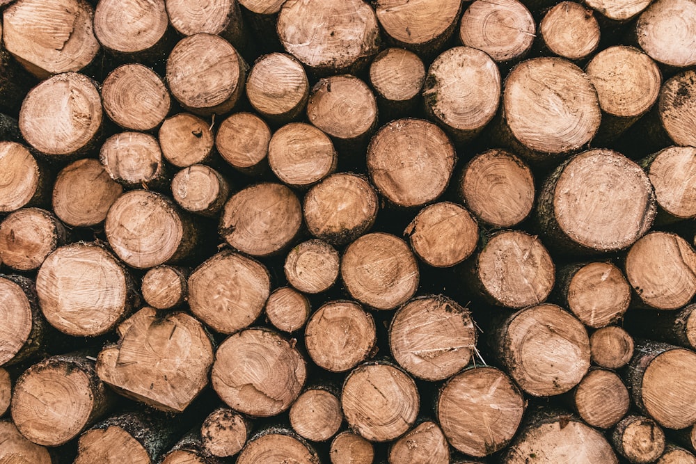 brown and black wood logs