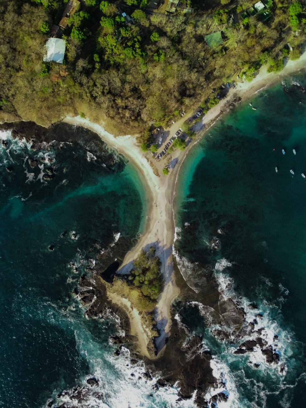 aerial view of green trees beside body of water during daytime