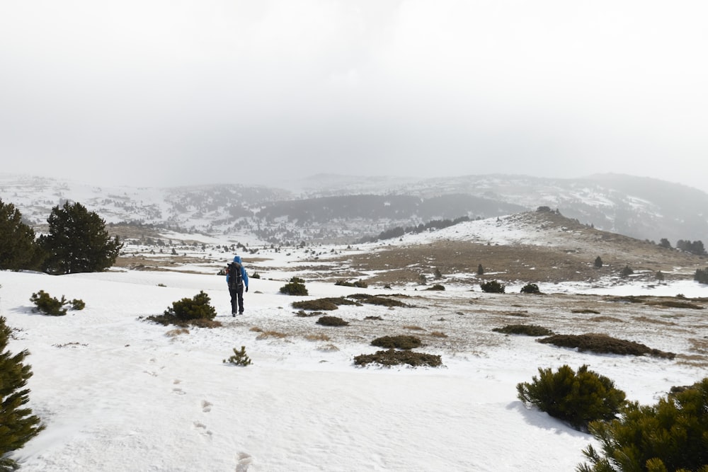 person in blue jacket walking on white snow covered field during daytime