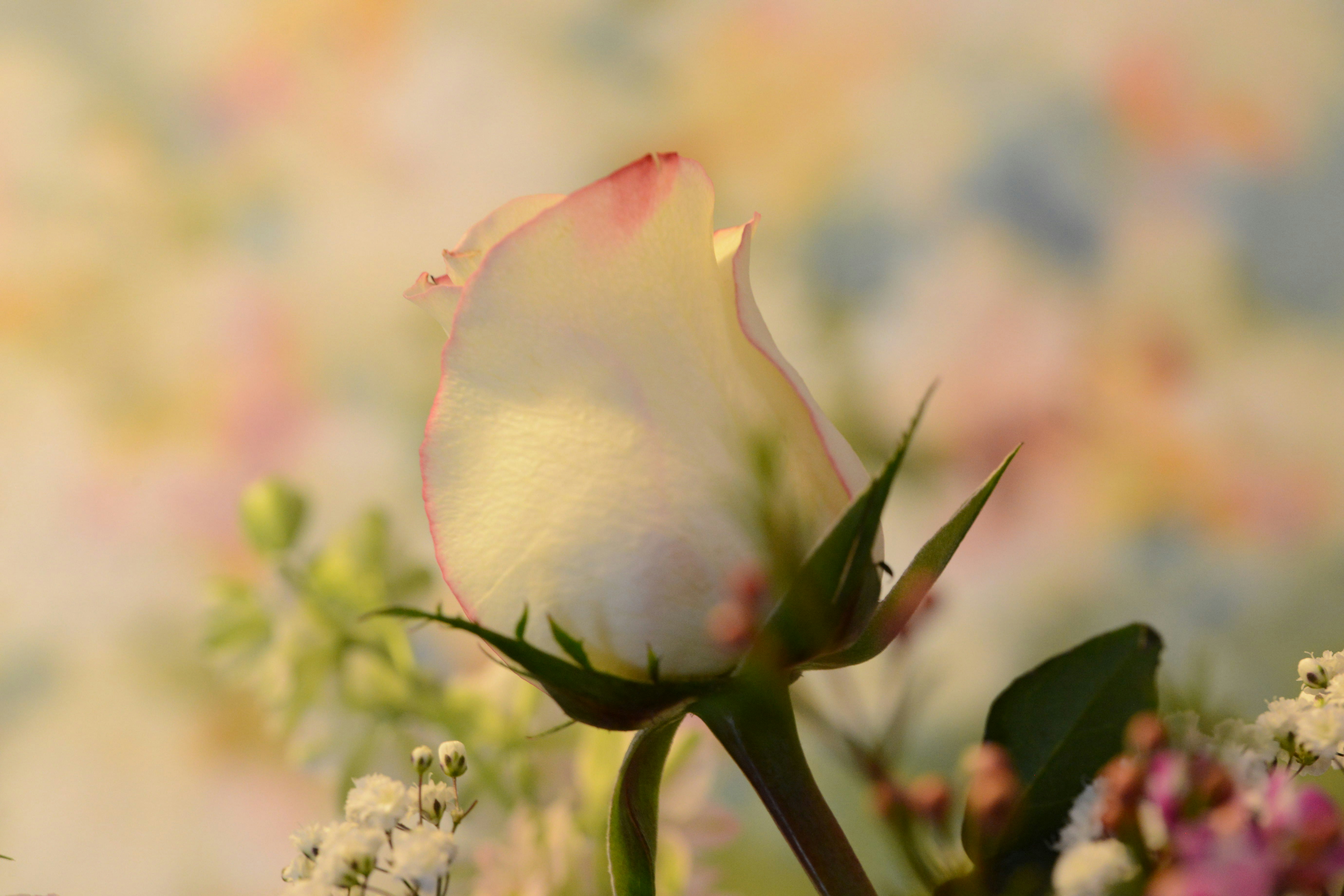 Photo by jonbagnato