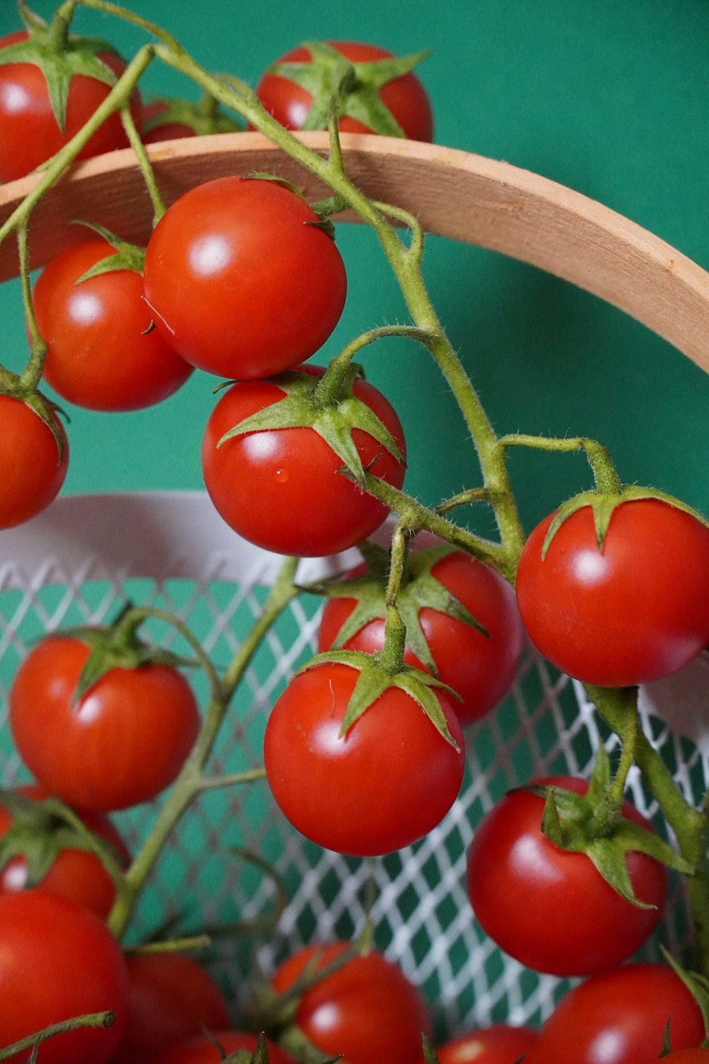 red tomato on white metal fence