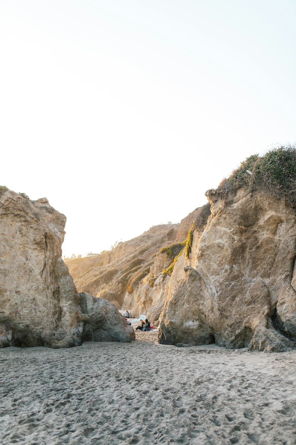 people on beach during daytime