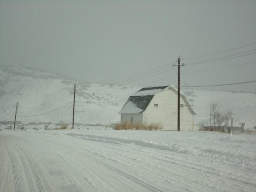 A snow-covered rural landscape featuring a white barn with a dark roof. Several utility poles and lines stretch across the scene, standing against the backdrop of snowy hills. Sparse vegetation is visible through the snow, and the road appears icy and filled with snow tracks.