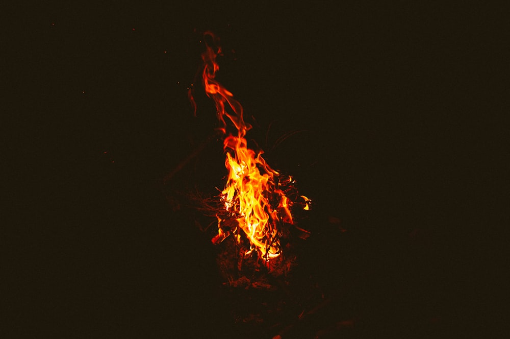 fire in the middle of the dark