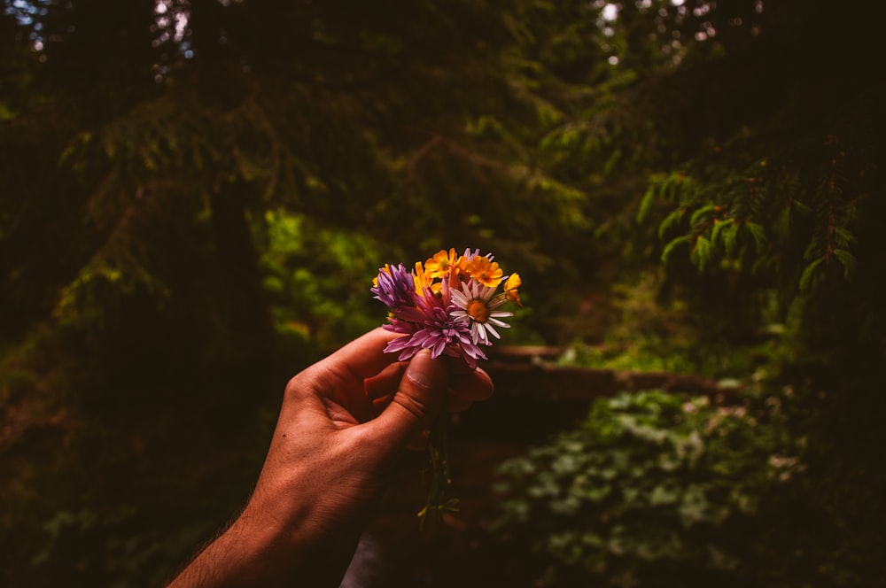 person holding yellow and brown flower