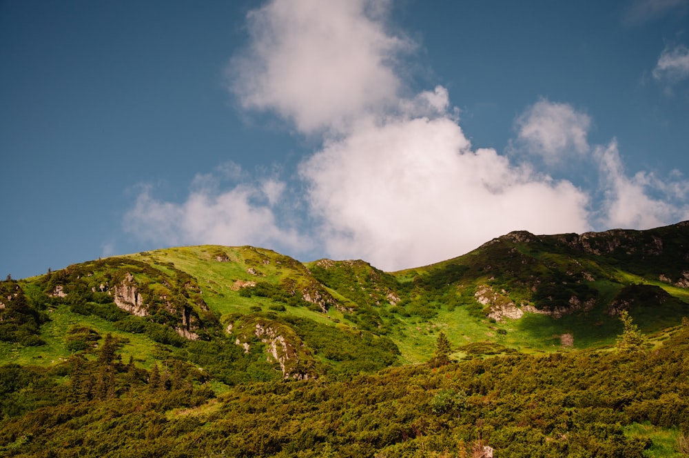 green grass covered hill under blue sky during daytime